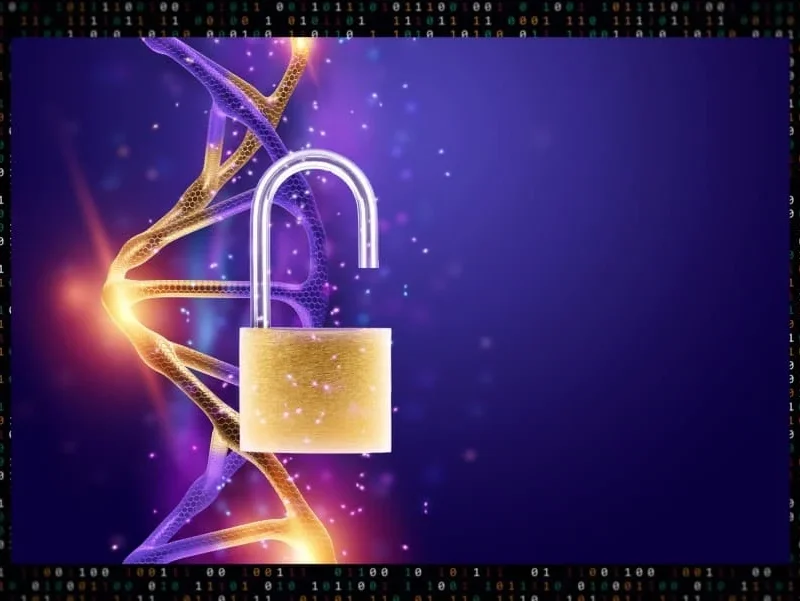 Decoding Digital Business Methodology